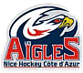 Nice Hockey