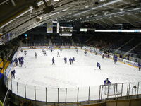 DNA Areena
