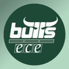 Kapfenberg Bulls logo