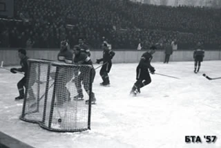 Bulgarian Hockey League International Hockey Wiki Fandom