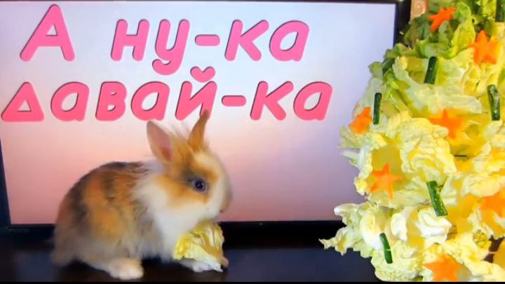 Ну-ка, давай, расскажи что за ошибка у тебя такая при заходе на канал, Мем мое л