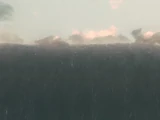 Wave