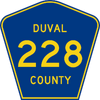Duval County, Florida 228