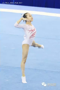 Fan at the 2017 Chinese National Championships