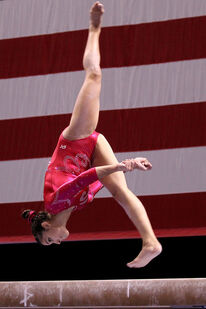 Raisman on day two of the 2010 Visa National Championships