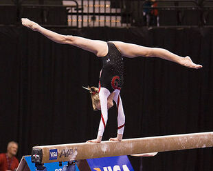 Liukin on day two at the 2006 Visa National Championships