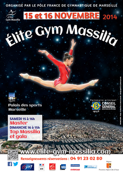 2014 Elite Gym Massilia Gymnastics Wiki Fandom