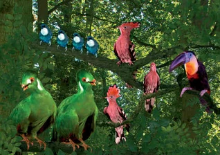 Tittifers In The Night Garden Wiki Fandom tittifers-in-the-night-garden-wiki-fandom
