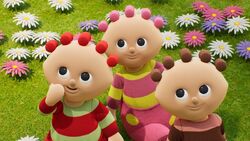 ZinkyZonk Specials | In The Night Garden Wiki | Fandom