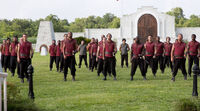 The Armadillo Territory's Clipper force.