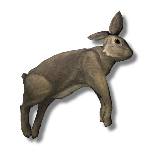 the long dark rabbit the long dark rabbit