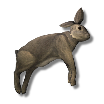 Rabbit Pelt, The Long Dark Wiki