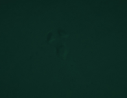 DarkWalker tracks