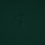 Escape The Darkwalker The Long Dark Wiki Fandom Escape The Darkwalker The Long Dark Wiki Fandom