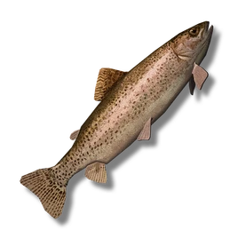 Rainbow Trout (Raw) icon
