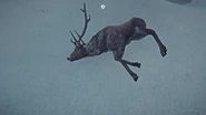 An untouched frozen deer.