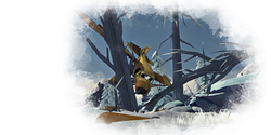 The Crash