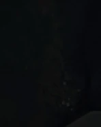 Cave Art (Desolation Point), a monster or animal