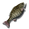 Big Bass (Raw) icon.png