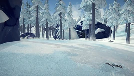 SS-PV-ForestCave (1)