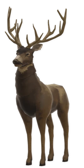 Stag