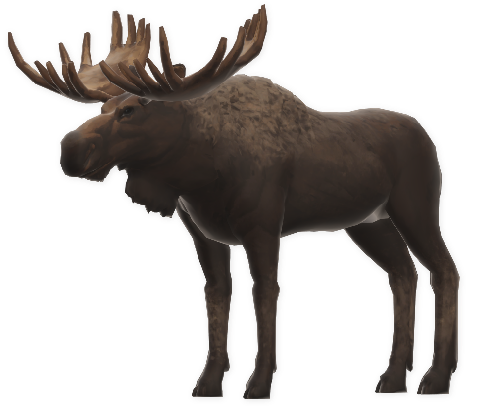 Moose, The Long Dark Wiki