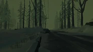Moderate fog
