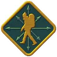 Old Nomad Badge