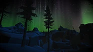 AuroraViewFromForemansRetreat.png (2.85 MB) The aurora as seen from near the Foreman's Retreat.