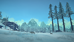 Timberwolf The Long Dark Wiki Fandom