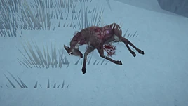 Ravaged Deer Remains