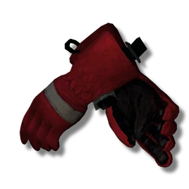 Ski Gloves icon