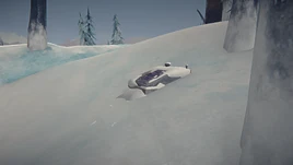 Bunker Omega outside