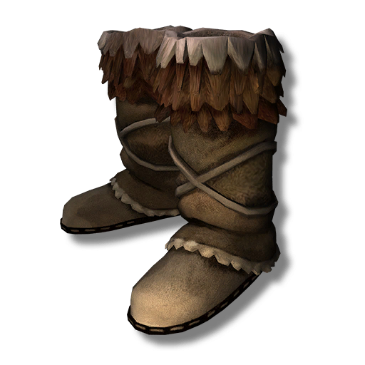 the long dark boots