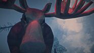 A Moose staring at the player before stomping them