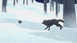 Wolf pursuit