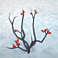 Rose hip bush.jpg (332 KB) Rose Bush