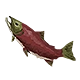 Steam Salmon Badge.png (22 KB) Steam Badge