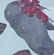 An example of a flare shell being pickup and reusable after sticking a bear.