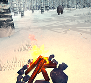 A bear held at bay by a campfire.