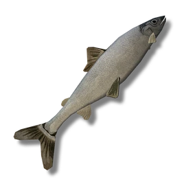 Lake Whitefish (Raw) icon