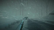 Blizzard