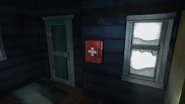First aid kit on wall.jpg (209 KB) A first aid kit on the wall of Trapper's Homestead