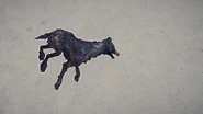 Poisoned Wolf Carcass Snow.jpg (400 KB) A normal Poisoned Wolf Carcass