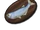 Mounted Goldeye