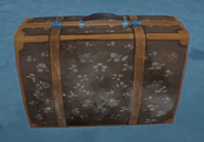 Grandmas Flower Suitcase.png (2.04 MB)