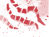 Intestinal Parasites