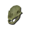 BonesBearSkullA