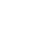 Condition icon.png