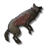 Wolf Carcass